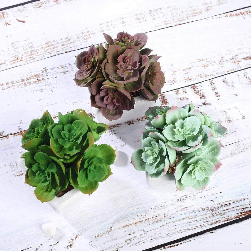 Set of 3 5" tall Faux Cute Echeveria Succulent Plants with Off White Ceramic Pots - Assorted Colors ARTI_SUC_PT014_ASST
