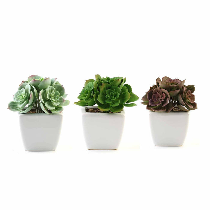 Set of 3 5" tall Faux Cute Echeveria Succulent Plants with Off White Ceramic Pots - Assorted Colors ARTI_SUC_PT014_ASST