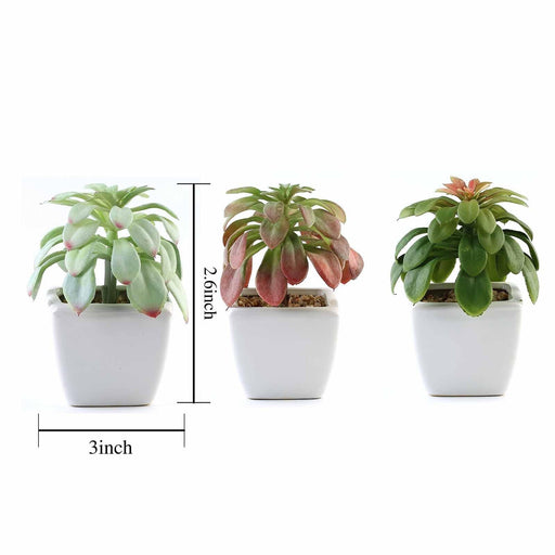 set of 3 succulent pots 3-Pack Echeveria Elegans Artificial Succulents In Ceramic Pot 5"