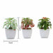 Set of 3 5" tall Faux Echeveria Succulent Plants with Off White Ceramic Pots - Assorted Colors ARTI_SUC_PT016_ASST