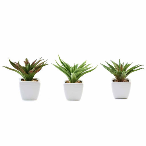 cute succulent plant pots 3-Pack Spotted Aloe Vera Artificial Succulents In Ceramic Pot 5"