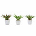 Set of 3 5" tall Faux Realistic Cute Succulent Aloe Plants with Off White Ceramic Pots - Assorted Colors ARTI_SUC_PT005_ASST
