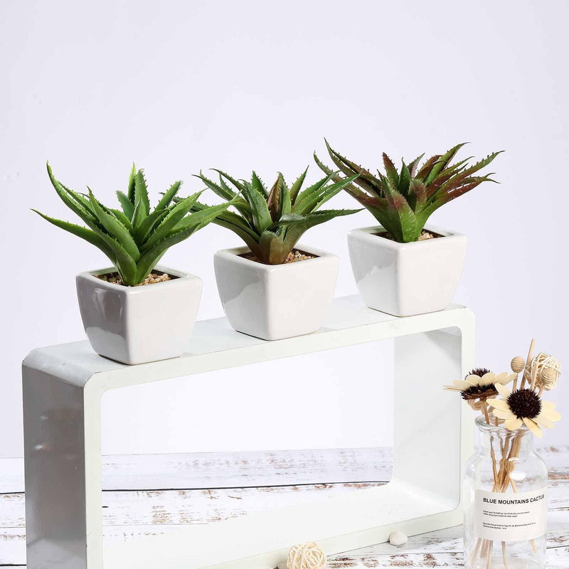realistic succulent plants 3-Pack Spotted Aloe Vera Artificial Succulents In Ceramic Pot 5"