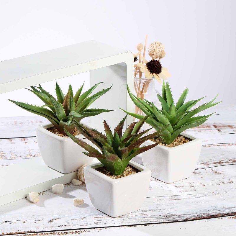where to buy cute succulent pots 3-Pack Spotted Aloe Vera Artificial Succulents In Ceramic Pot 5"