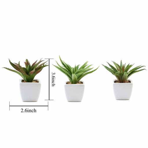 faux aloe vera plant 3-Pack Spotted Aloe Vera Artificial Succulents In Ceramic Pot 5"