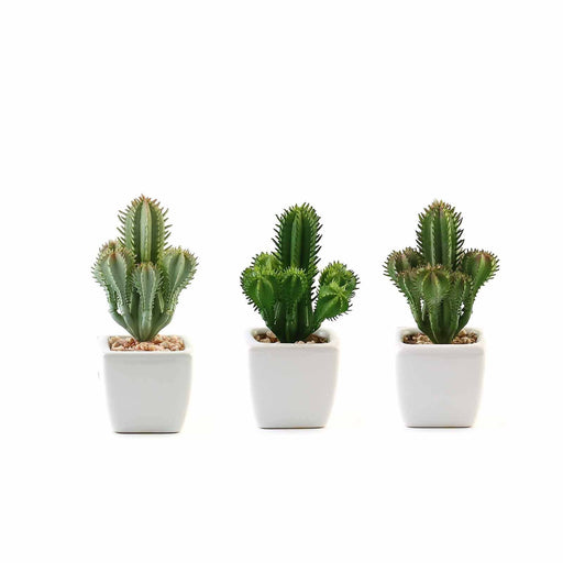 Set of 3 5" tall Faux Succulent Cactus Plants with Off White Ceramic Pots - Assorted Green ARTI_SUC_PT008_ASST