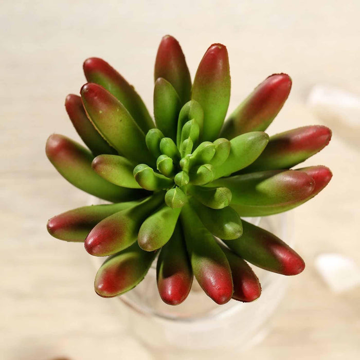 Set of 3 6" Artificial Faux Spiky Succulent Picks Stems - Assorted Green Colors ARTI_SUC_WS010_ASST