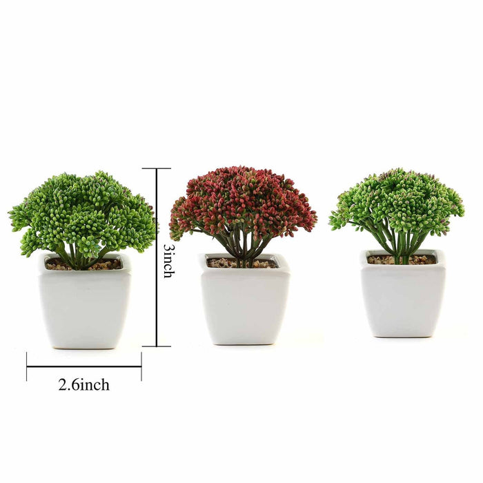 Set of 3 6" tall Faux Sedum Succulent Plants with Off White Ceramic Pots - Assorted Colors ARTI_SUC_PT019_ASST