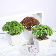 Set of 3 6" tall Faux Sedum Succulent Plants with Off White Ceramic Pots - Assorted Colors ARTI_SUC_PT019_ASST