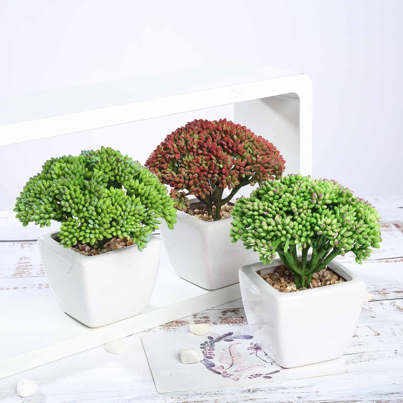 Set of 3 6" tall Faux Sedum Succulent Plants with Off White Ceramic Pots - Assorted Colors ARTI_SUC_PT019_ASST