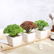 Set of 3 6" tall Faux Sedum Succulent Plants with Off White Ceramic Pots - Assorted Colors ARTI_SUC_PT019_ASST