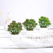 Set of 3 7" tall Faux Cute Succulent Plants with Off White Ceramic Pots - Assorted Colors ARTI_SUC_PT017_ASST