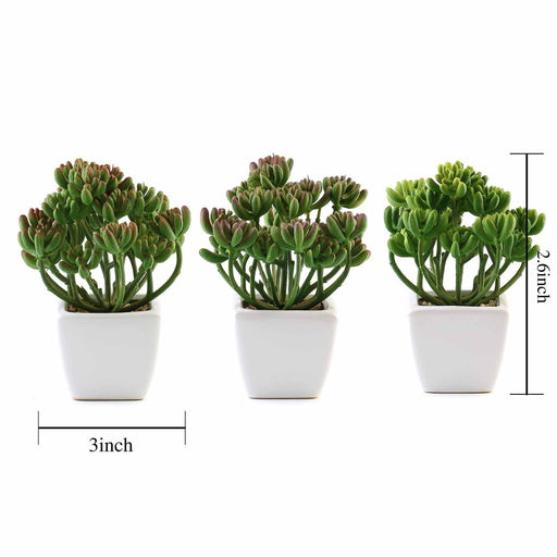 3 inch succulents 3-Pack Stonecrop Artificial Succulents In Ceramic Pots 7"