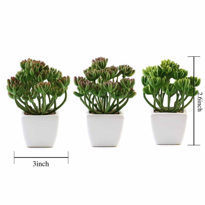 Set of 3 7" tall Faux Cute Succulent Plants with Off White Ceramic Pots - Assorted Colors ARTI_SUC_PT017_ASST