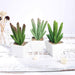 Set of 3 7" tall Faux Succulent Cactus Plants with Off White Ceramic Pots - Assorted Colors ARTI_SUC_PT003_ASST