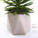 Set of 3 8" tall Faux Crassula Succulent Plants with Ceramic Pots - Assorted Colors ARTI_SUC_PT002_ASST