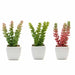 Set of 3 8" tall Faux Sedum Succulent Plants with Off White Ceramic Pots - Assorted Colors ARTI_SUC_PT011_ASST