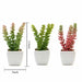 Set of 3 8" tall Faux Sedum Succulent Plants with Off White Ceramic Pots - Assorted Colors ARTI_SUC_PT011_ASST