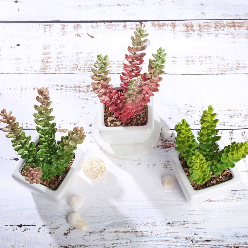 Set of 3 8" tall Faux Sedum Succulent Plants with Off White Ceramic Pots - Assorted Colors ARTI_SUC_PT011_ASST