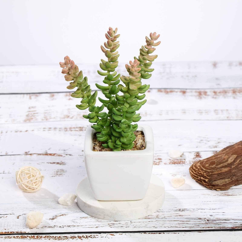 Set of 3 8" tall Faux Sedum Succulent Plants with Off White Ceramic Pots - Assorted Colors ARTI_SUC_PT011_ASST