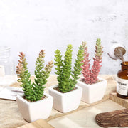 Set of 3 8" tall Faux Sedum Succulent Plants with Off White Ceramic Pots - Assorted Colors ARTI_SUC_PT011_ASST