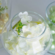 Set of 3 9" 13" 14" tall Glass Apothecary Jars Containers with Lids - Clear GLAS_JAR11_CLR