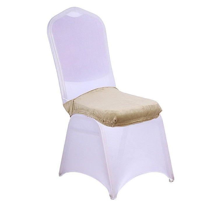 Stretchable Velvet Chair Seat Cushion Cover FURN_CUSHVEL02_CHMP